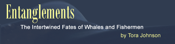 Entanglements: The Intertwined Fates of Whales and Fishermen by Tora Johnson