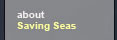 about Saving Seas