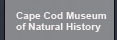 Cape Cod Museum of Natural History